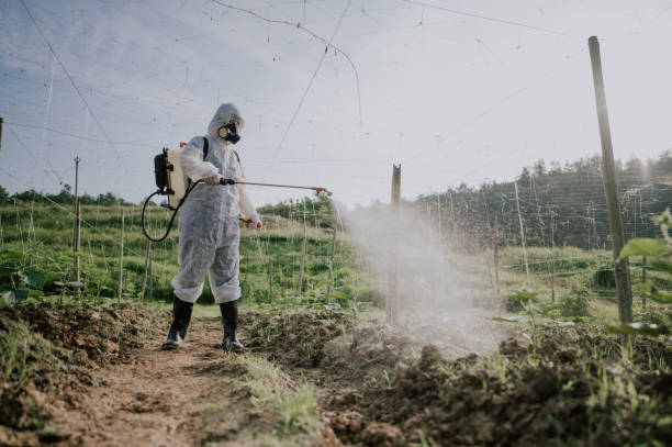 Best Termite Control Services  in Del Monte Forest, CA