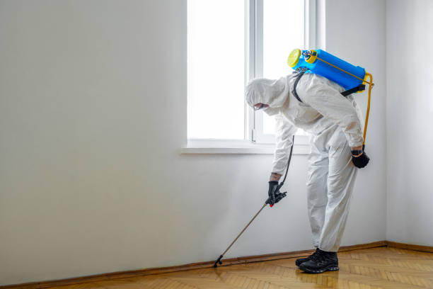 Best Best Pest Control Companies  in Del Monte Forest, CA