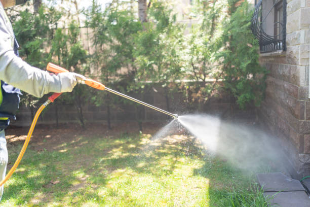 Best Pest Removal Services  in Del Monte Forest, CA