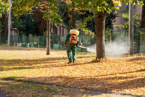 Best Pest Control Near Me in Del Monte Forest, CA